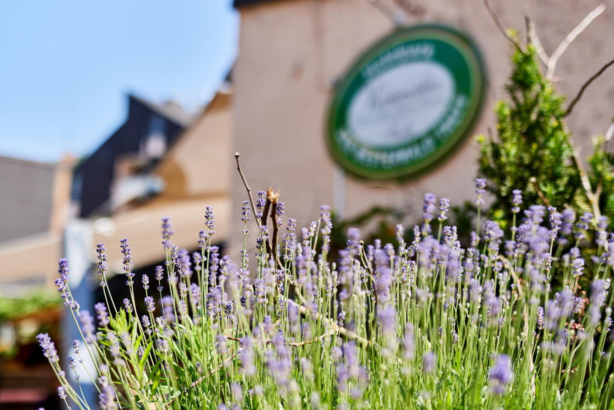 Hotelpark Der Westerwald Treff Oberlahr ภายนอก รูปภาพ